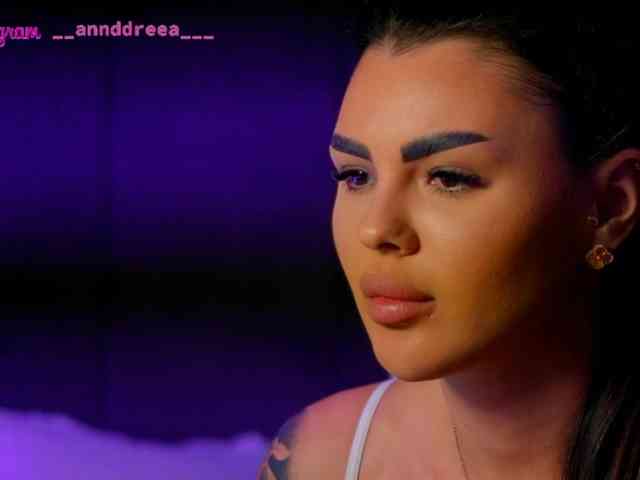 PerfectT33n webcam