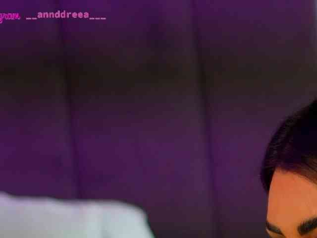 PerfectT33n webcam