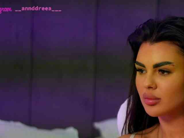 PerfectT33n webcam