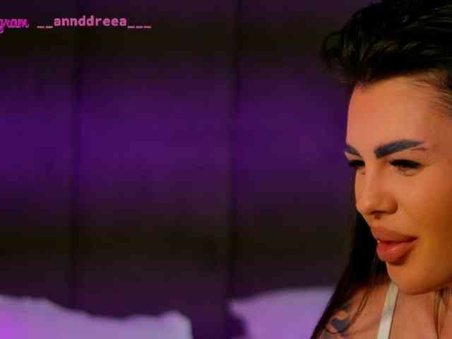 PerfectT33n webcam