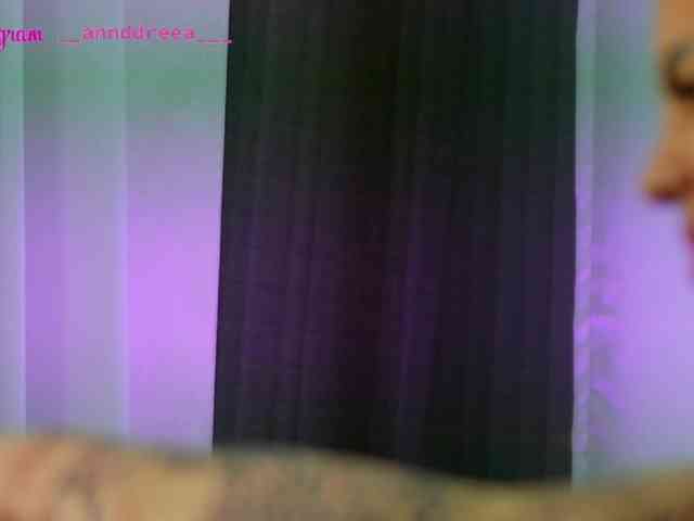 PerfectT33n webcam