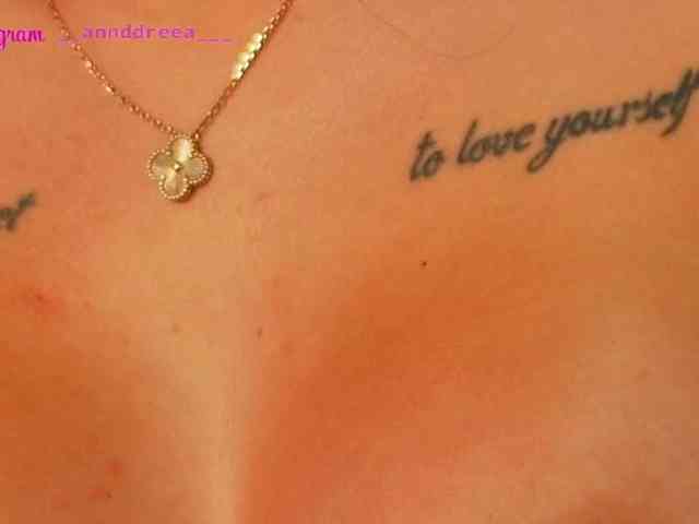 PerfectT33n webcam