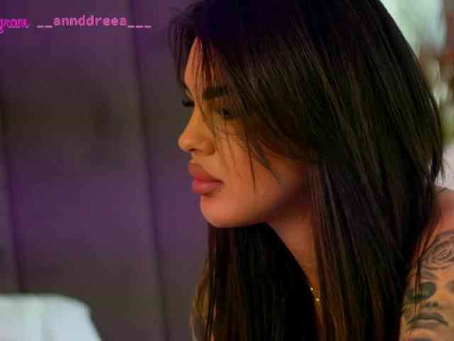 PerfectT33n webcam