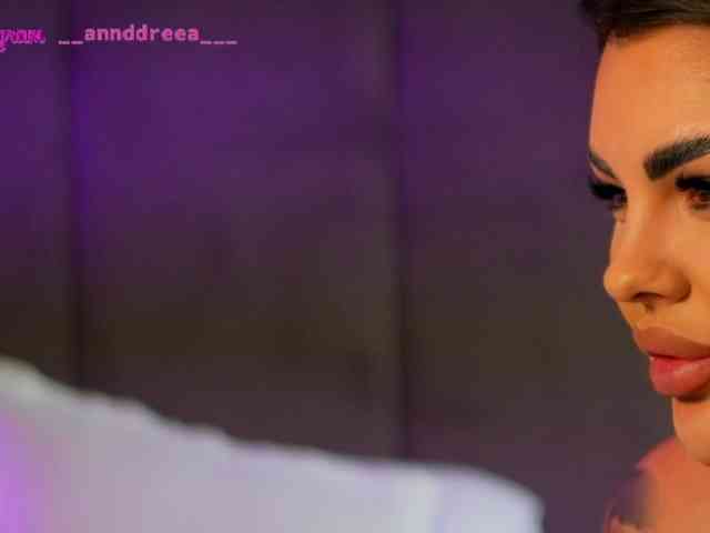 PerfectT33n webcam