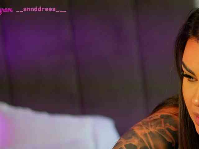 PerfectT33n webcam
