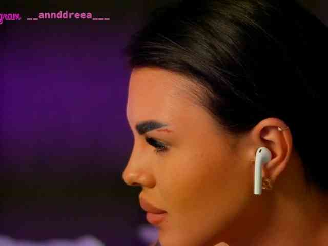 PerfectT33n webcam