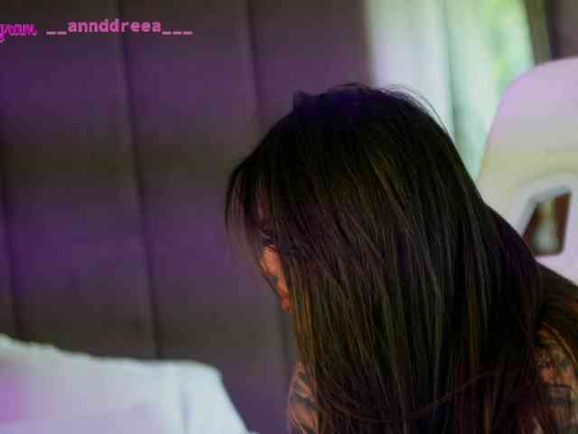 PerfectT33n webcam