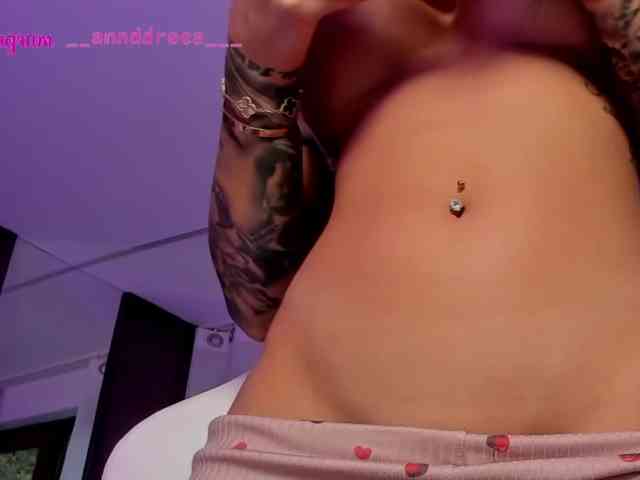 PerfectT33n webcam