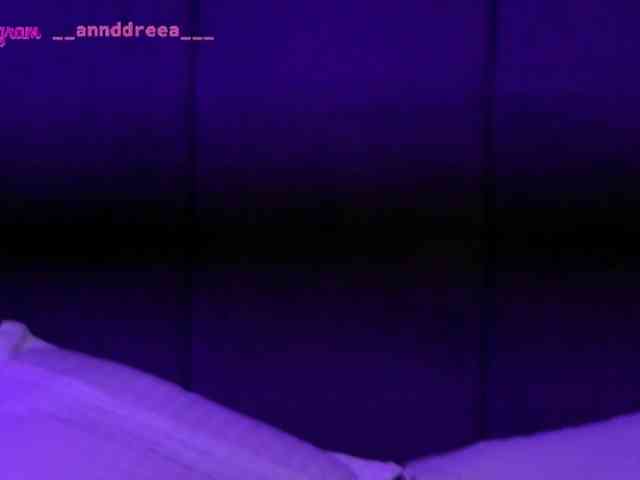 PerfectT33n webcam