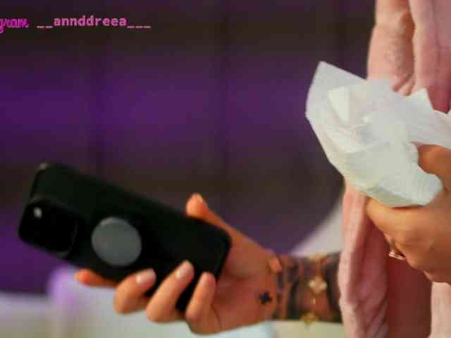 PerfectT33n webcam