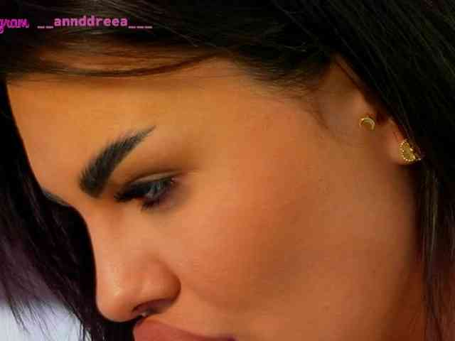 PerfectT33n webcam