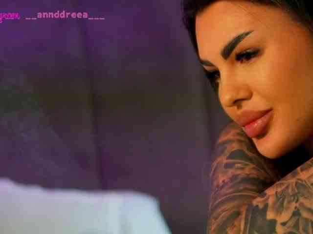 PerfectT33n webcam