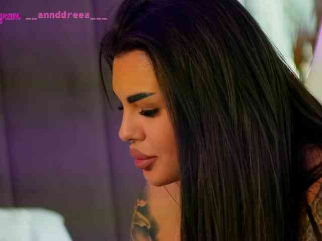 PerfectT33n webcam