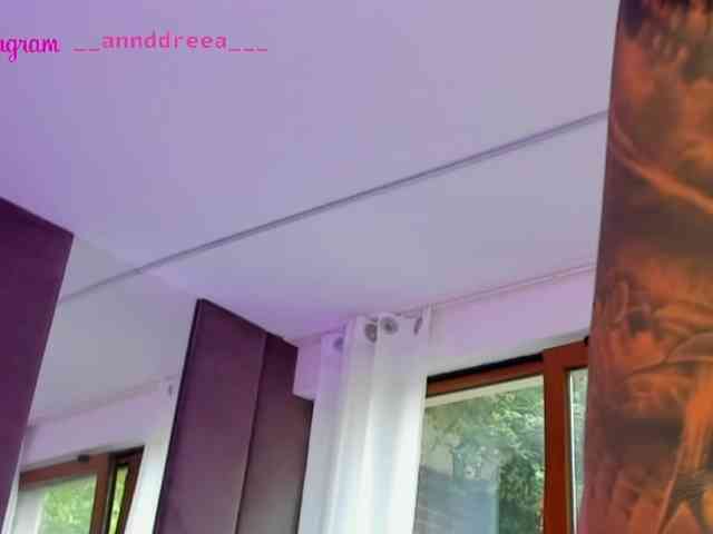 PerfectT33n webcam