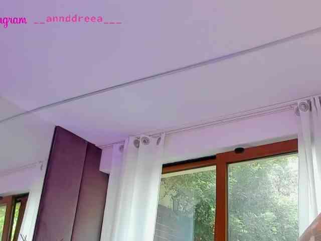PerfectT33n webcam