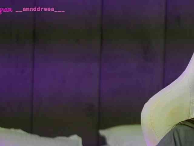 PerfectT33n webcam
