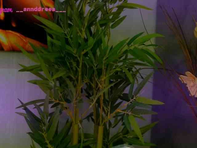 PerfectT33n webcam