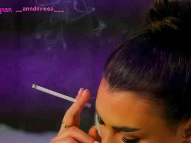 PerfectT33n webcam