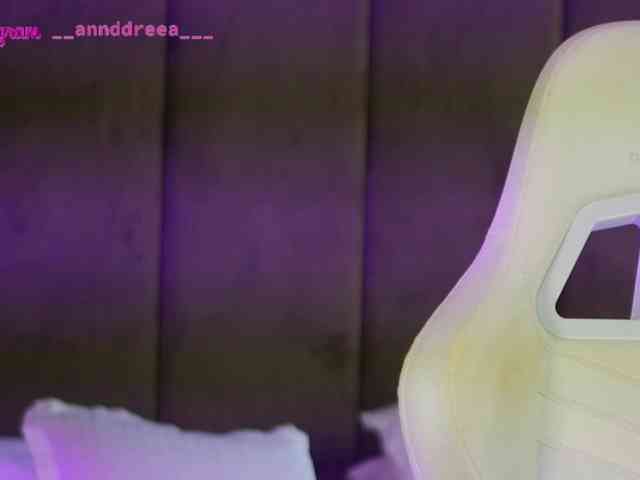 PerfectT33n webcam