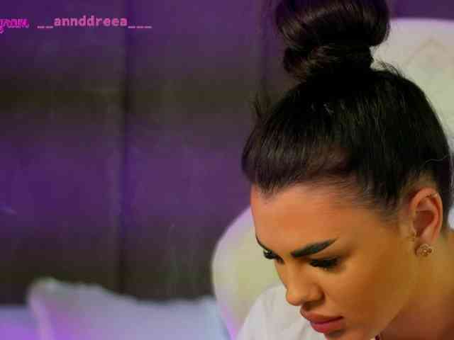 PerfectT33n webcam