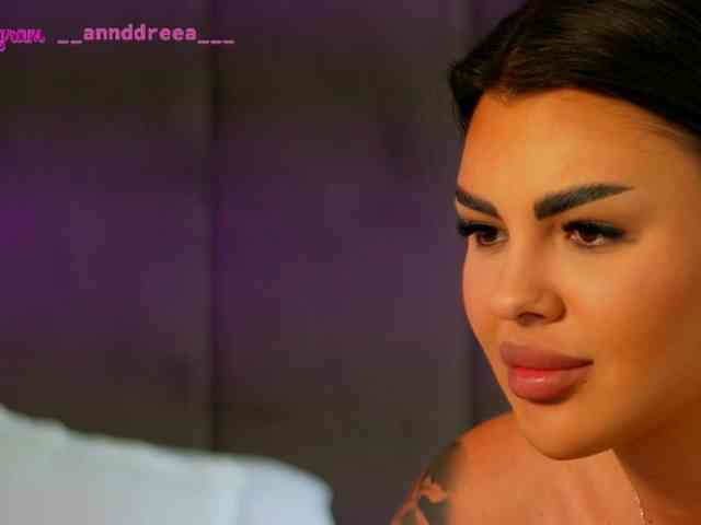 PerfectT33n webcam