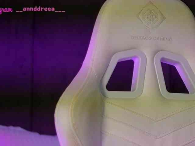 PerfectT33n webcam