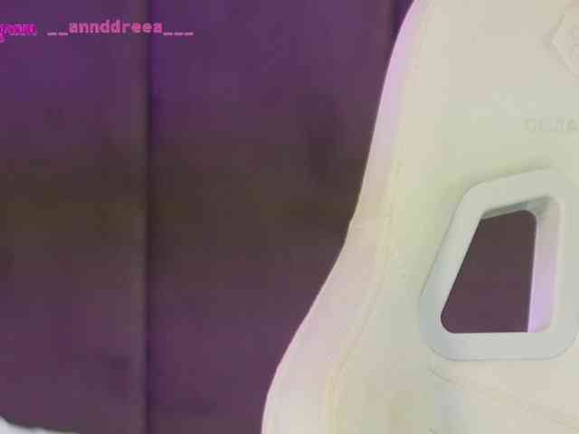 PerfectT33n webcam