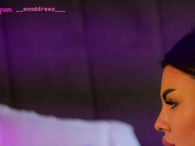 PerfectT33n webcam