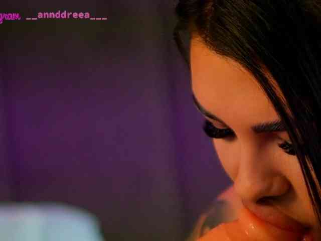 PerfectT33n webcam
