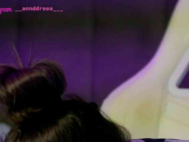 PerfectT33n webcam