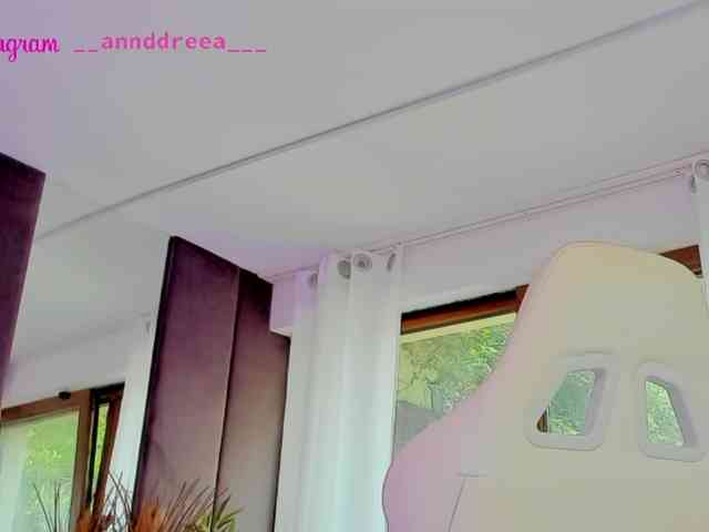PerfectT33n webcam