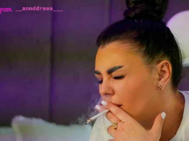 PerfectT33n webcam