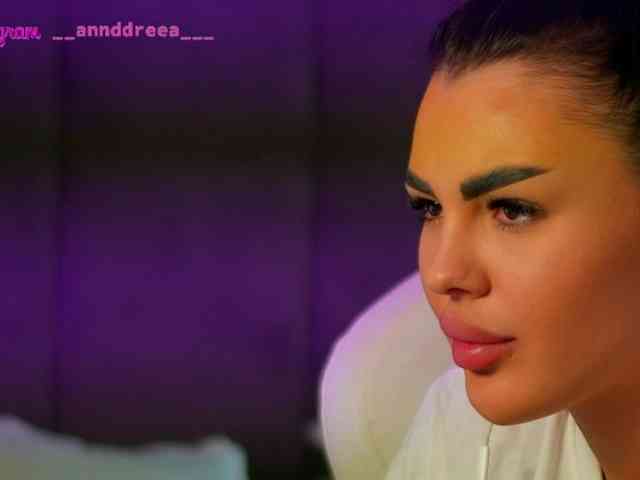PerfectT33n webcam