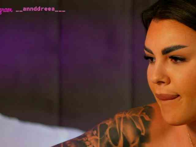 PerfectT33n webcam
