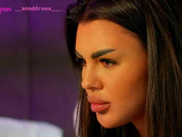 PerfectT33n webcam