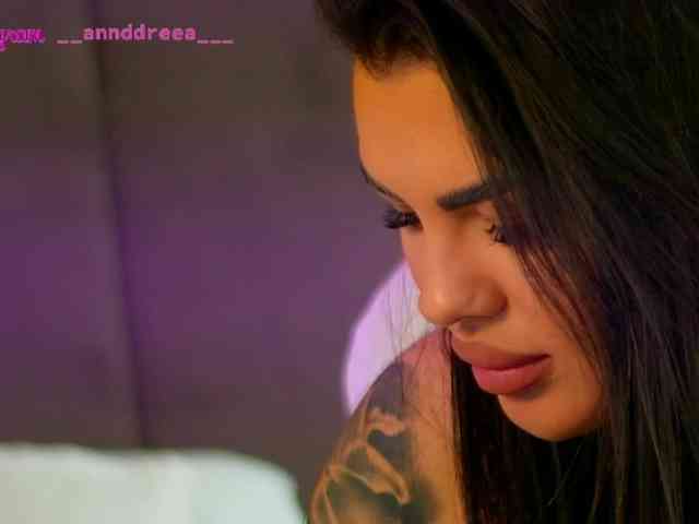 PerfectT33n webcam