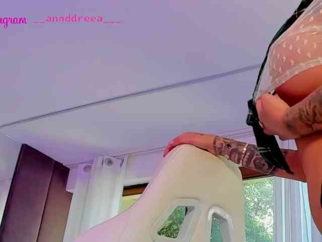 PerfectT33n webcam