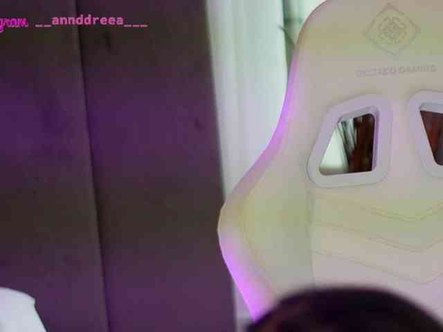 PerfectT33n webcam