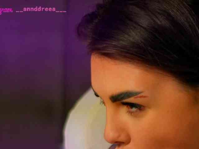 PerfectT33n webcam