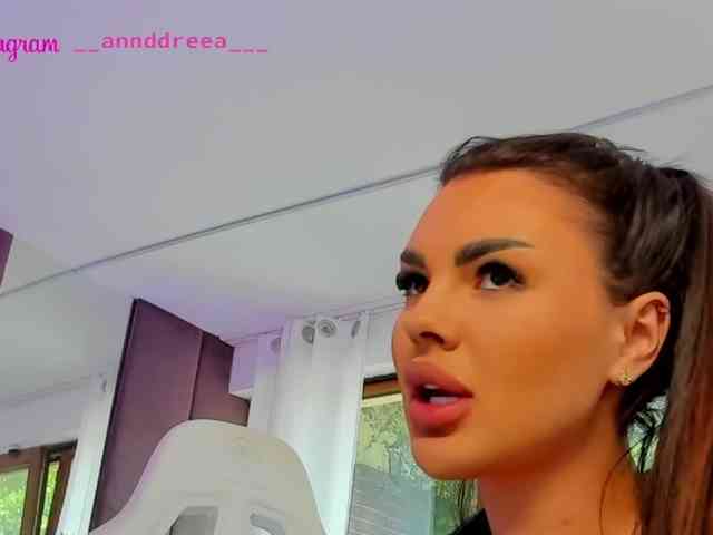 PerfectT33n webcam