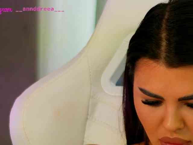 PerfectT33n webcam