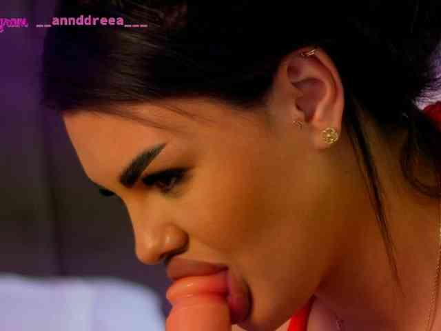 PerfectT33n webcam