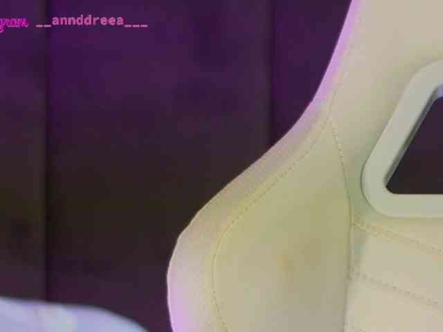 PerfectT33n webcam