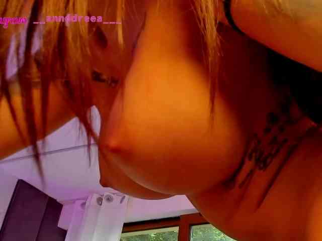PerfectT33n webcam