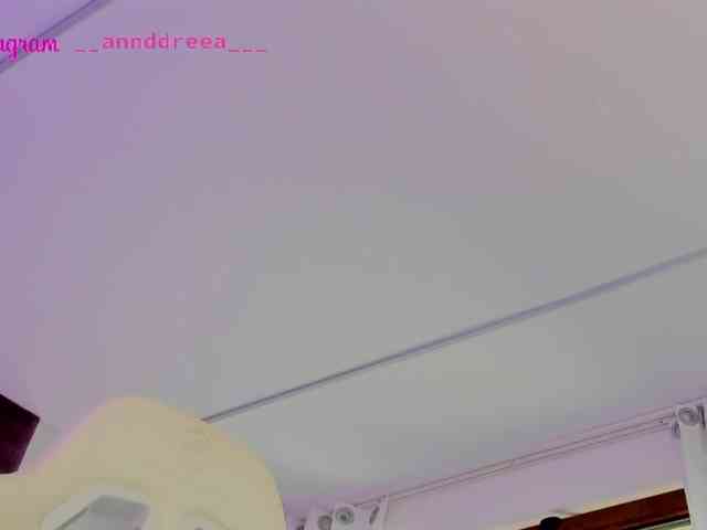PerfectT33n webcam