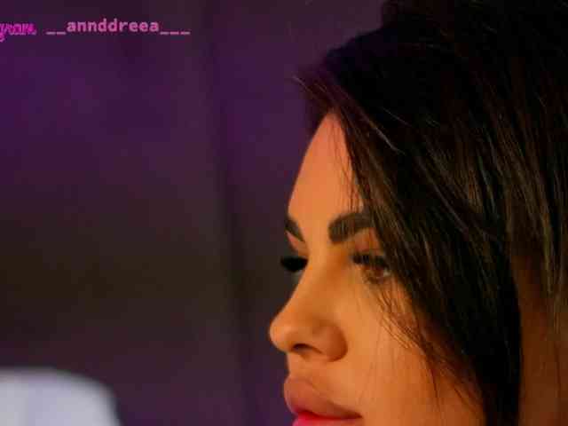 PerfectT33n webcam
