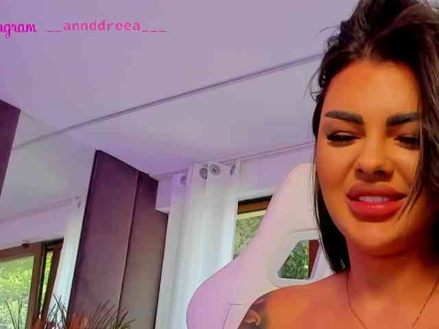 PerfectT33n webcam