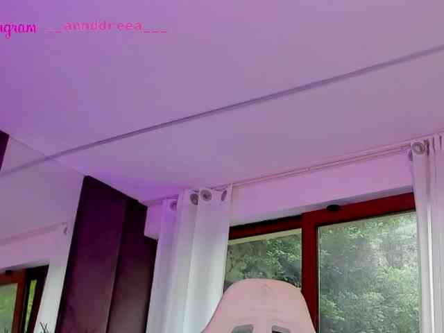 PerfectT33n webcam