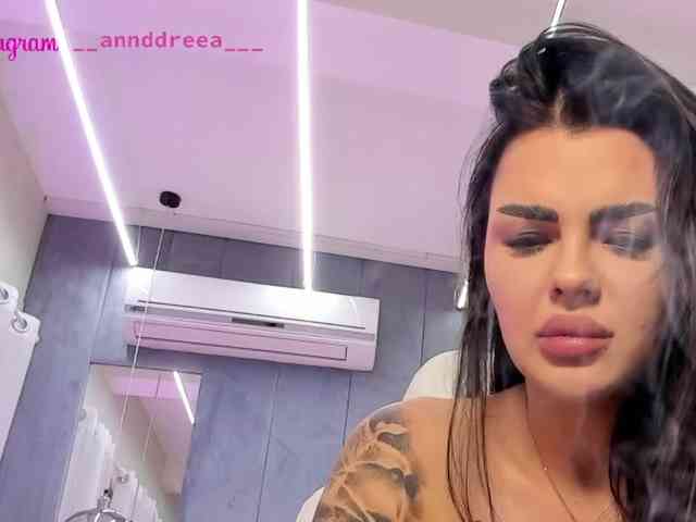PerfectT33n webcam