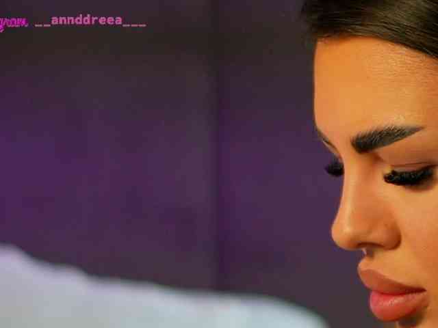 PerfectT33n webcam